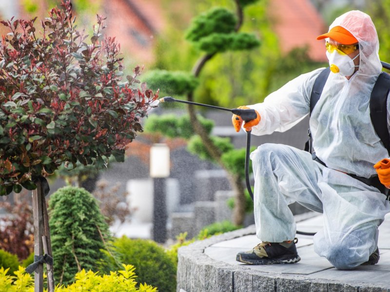 Odunpazarı Haşere İlaçlama